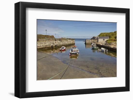 Balintoy harbour, near Giant's Causeway, County Antrim, Ulster, Northern Ireland, United Kingdom, E-Nigel Hicks-Framed Photographic Print