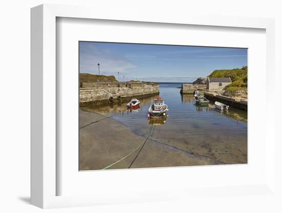 Balintoy harbour, near Giant's Causeway, County Antrim, Ulster, Northern Ireland, United Kingdom, E-Nigel Hicks-Framed Photographic Print