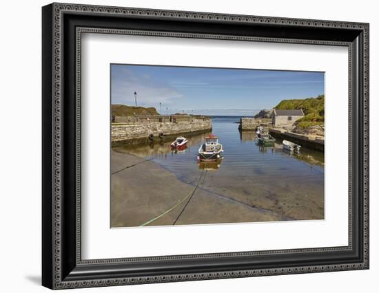 Balintoy harbour, near Giant's Causeway, County Antrim, Ulster, Northern Ireland, United Kingdom, E-Nigel Hicks-Framed Photographic Print