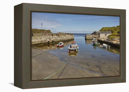 Balintoy harbour, near Giant's Causeway, County Antrim, Ulster, Northern Ireland, United Kingdom, E-Nigel Hicks-Framed Premier Image Canvas