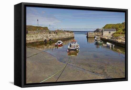 Balintoy harbour, near Giant's Causeway, County Antrim, Ulster, Northern Ireland, United Kingdom, E-Nigel Hicks-Framed Premier Image Canvas