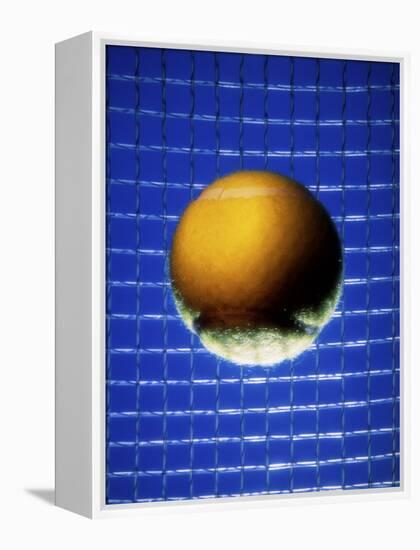 Ball Against Racquet-null-Framed Premier Image Canvas