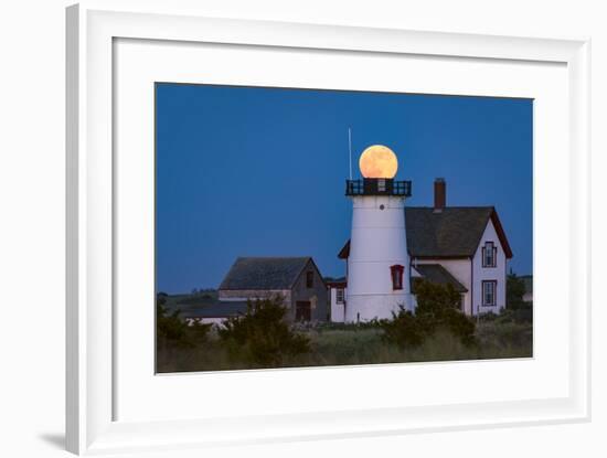 Ball Head-Michael Blanchette Photography-Framed Photographic Print