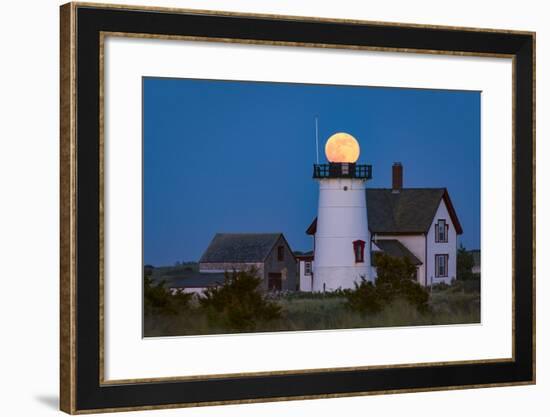 Ball Head-Michael Blanchette Photography-Framed Photographic Print