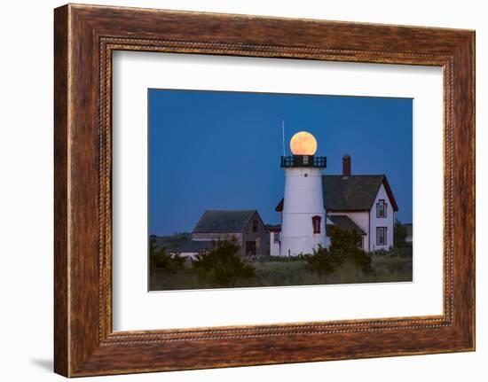 Ball Head-Michael Blanchette Photography-Framed Photographic Print