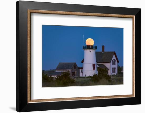 Ball Head-Michael Blanchette Photography-Framed Photographic Print