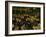 Ball in Arles-Vincent van Gogh-Framed Giclee Print