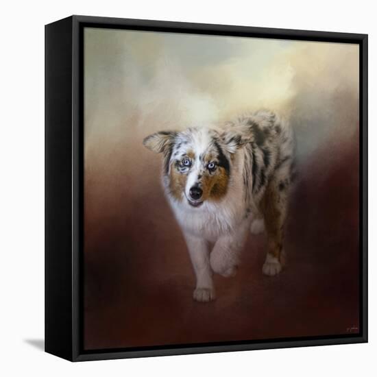 Ball of Energy Australian Shepherd-Jai Johnson-Framed Premier Image Canvas