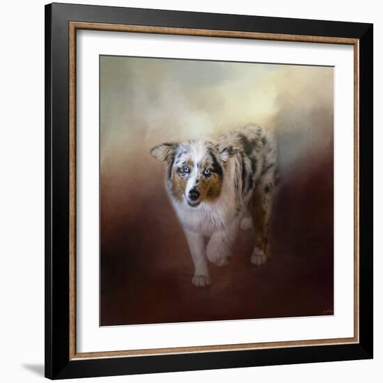 Ball of Energy Australian Shepherd-Jai Johnson-Framed Giclee Print