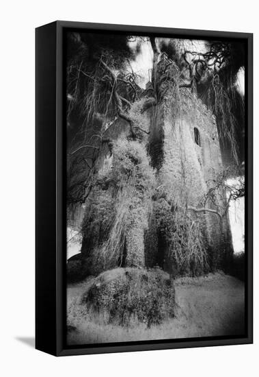 Ballaghmore Castle, County Laois, Ireland-Simon Marsden-Framed Premier Image Canvas