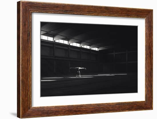 Ballando Nella Luce-Martin Krystynek-Framed Giclee Print