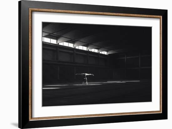 Ballando Nella Luce-Martin Krystynek-Framed Giclee Print