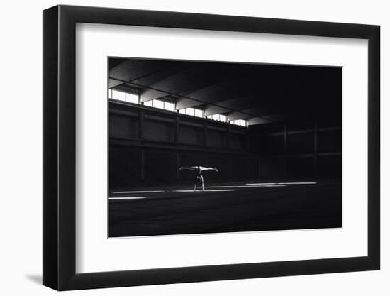 Ballando Nella Luce-Martin Krystynek-Framed Photographic Print
