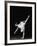 Ballerina Alicia Alonso in Arabesque Position-Gjon Mili-Framed Premium Photographic Print