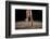 Ballerina Balancing En Pointe-null-Framed Art Print