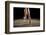 Ballerina Balancing En Pointe-null-Framed Art Print