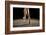 Ballerina Balancing En Pointe-null-Framed Art Print