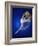 Ballerina Dancing-Dennis Degnan-Framed Photographic Print