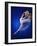 Ballerina Dancing-Dennis Degnan-Framed Photographic Print