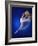 Ballerina Dancing-Dennis Degnan-Framed Photographic Print