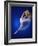 Ballerina Dancing-Dennis Degnan-Framed Photographic Print