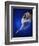 Ballerina Dancing-Dennis Degnan-Framed Photographic Print