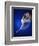 Ballerina Dancing-Dennis Degnan-Framed Photographic Print