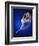 Ballerina Dancing-Dennis Degnan-Framed Photographic Print