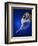 Ballerina Dancing-Dennis Degnan-Framed Photographic Print