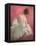 Ballerina Dreaming 1-Patrick Mcgannon-Framed Stretched Canvas