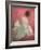 Ballerina Dreaming 1-Patrick Mcgannon-Framed Art Print