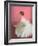 Ballerina Dreaming 2-Patrick Mcgannon-Framed Art Print