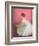 Ballerina Dreaming 2-Patrick Mcgannon-Framed Premium Giclee Print