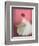 Ballerina Dreaming 2-Patrick Mcgannon-Framed Premium Giclee Print