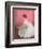 Ballerina Dreaming 2-Patrick Mcgannon-Framed Premium Giclee Print