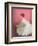 Ballerina Dreaming 2-Patrick Mcgannon-Framed Premium Giclee Print