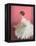 Ballerina Dreaming 2-Patrick Mcgannon-Framed Stretched Canvas