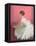 Ballerina Dreaming 2-Patrick Mcgannon-Framed Stretched Canvas