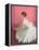 Ballerina Dreaming 2-Patrick Mcgannon-Framed Stretched Canvas