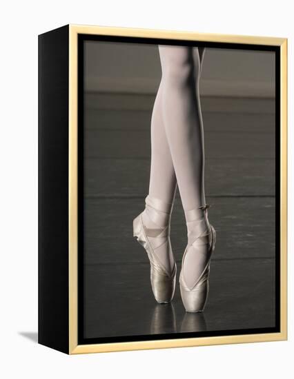 Ballerina en pointe-Erik Isakson-Framed Premier Image Canvas