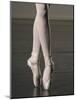 Ballerina en pointe-Erik Isakson-Mounted Photographic Print