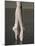 Ballerina en pointe-Erik Isakson-Mounted Photographic Print
