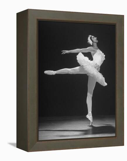 Ballerina Margot Fonteyn in White Tutu Dancing Alone on Stage-Gjon Mili-Framed Premier Image Canvas