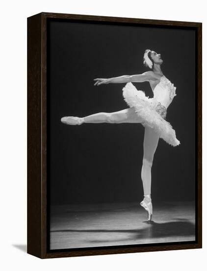 Ballerina Margot Fonteyn in White Tutu Dancing Alone on Stage-Gjon Mili-Framed Premier Image Canvas