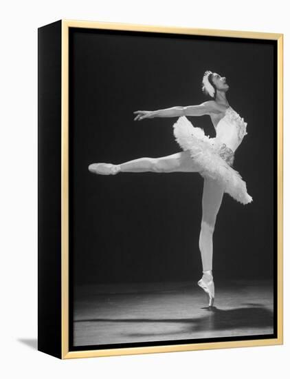 Ballerina Margot Fonteyn in White Tutu Dancing Alone on Stage-Gjon Mili-Framed Premier Image Canvas