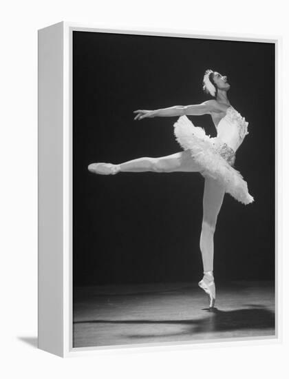 Ballerina Margot Fonteyn in White Tutu Dancing Alone on Stage-Gjon Mili-Framed Premier Image Canvas