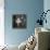 Ballerina Margot Fonteyn Standing in Wings Prepares for Reopening Covent Garden Royal Opera House-David Scherman-Framed Premier Image Canvas displayed on a wall