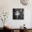 Ballerina Margot Fonteyn Standing in Wings Prepares for Reopening Covent Garden Royal Opera House-David Scherman-Premium Photographic Print displayed on a wall