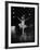 Ballerina Maria Tallchief Performing in "Swan Lake"-Ed Clark-Framed Premium Photographic Print