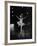 Ballerina Maria Tallchief Performing in "Swan Lake"-Ed Clark-Framed Premium Photographic Print